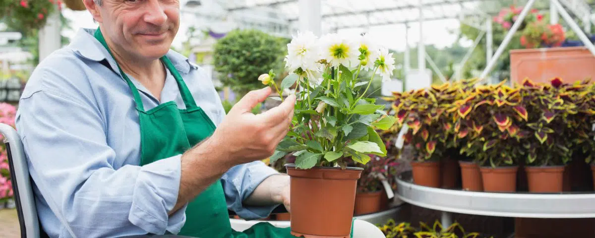 Garden center worker in a wheelchair holding a flower pot in a greenhouseGardne center worker in a wheelchair holding a flower pot in a greenhouse