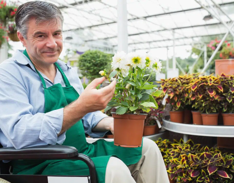 Garden center worker in a wheelchair holding a flower pot in a greenhouseGardne center worker in a wheelchair holding a flower pot in a greenhouse